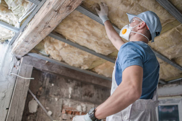 Best Types of Insulation in Bayou Blue, LA