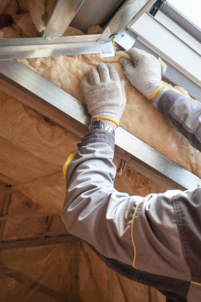 Best Types of Insulation in Bayou Blue, LA